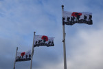 Three "Lest We Forget" flags in November 2018